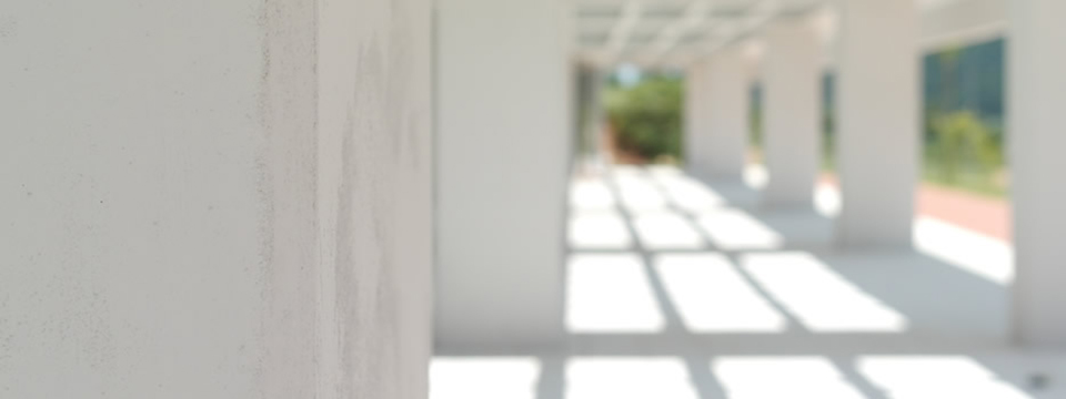Promoo da eficincia energtica de edifcios, sustentabilidade e conforto interior - optimizao de solues construtivas