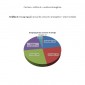 Auditoria Energética - Gráfico Consumo