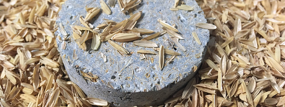RiceHUSK+